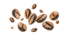 Logo Café en grains